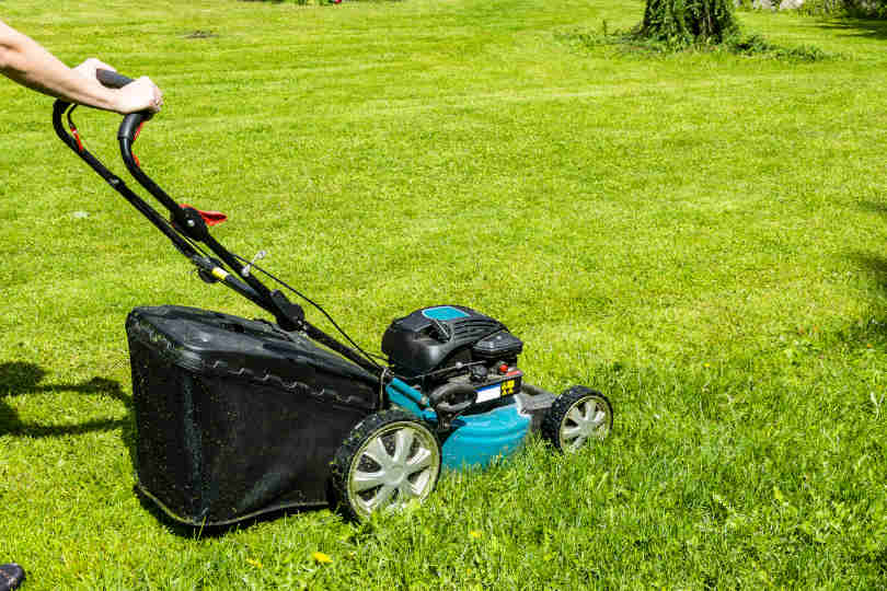 Gardener mowing green grass with lawn mower