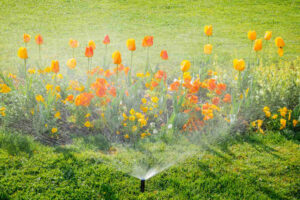 Irrigation system water sprinkler working in garden