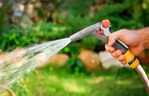 Gardener with end hose sprayer water on the green grass of lawn