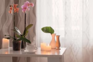 Orchids, cup, candles on the table in the room
