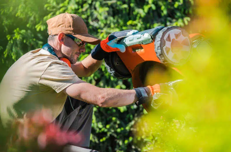 Men Fixing Lawn Mower in the Garden