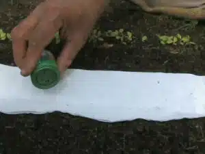 Gardener Dispensing Tiny Seed with Seed Dispenser