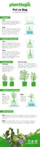 Are Grow Bags Better Than Plastic Pots