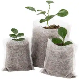 Are Grow Bags Biodegradable