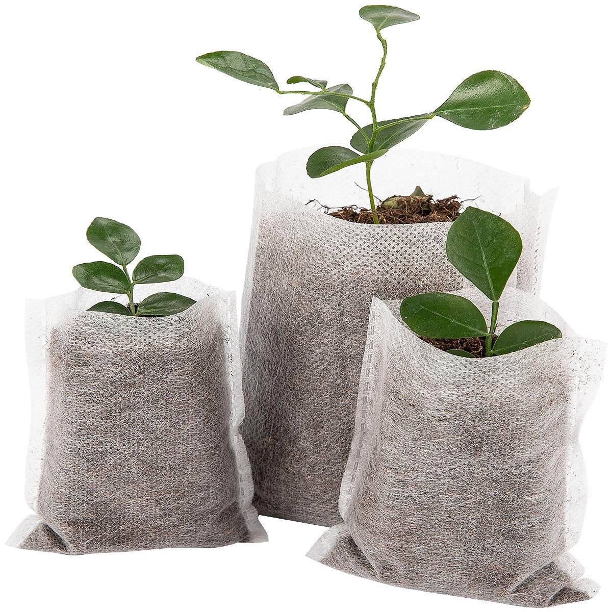 Are Grow Bags Biodegradable