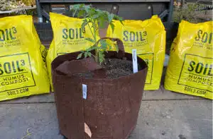 Are Grow Bags Compostable