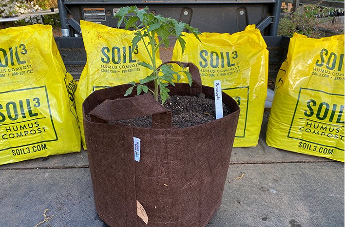 Are Grow Bags Compostable