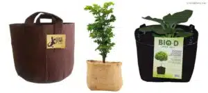 Are Grow Bags Eco-Friendly
