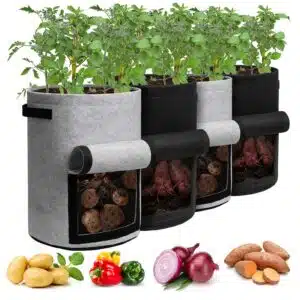 Are Grow Bags Good for Potatoes