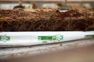 Are Grow Bags Sustainable
