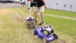 Can You Dethatch With a Lawn Mower