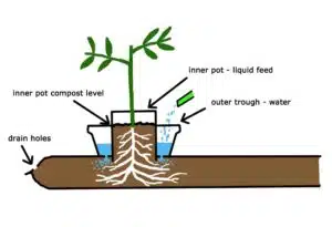 Do Grow Bags Have Drainage Holes