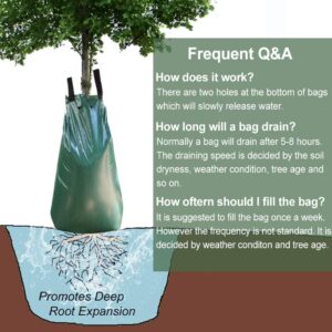 How Do Tree Watering Bags Work