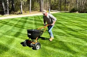 How To Fertilize a Lawn