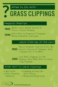 How To Get Rid Of Grass Clippings