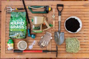 How To Plant Grass Seed On Hard Dirt