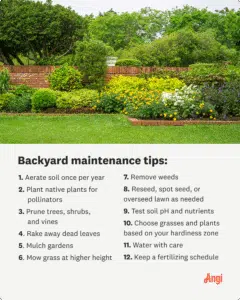 How To Take Care Of Your Lawn For Beginners