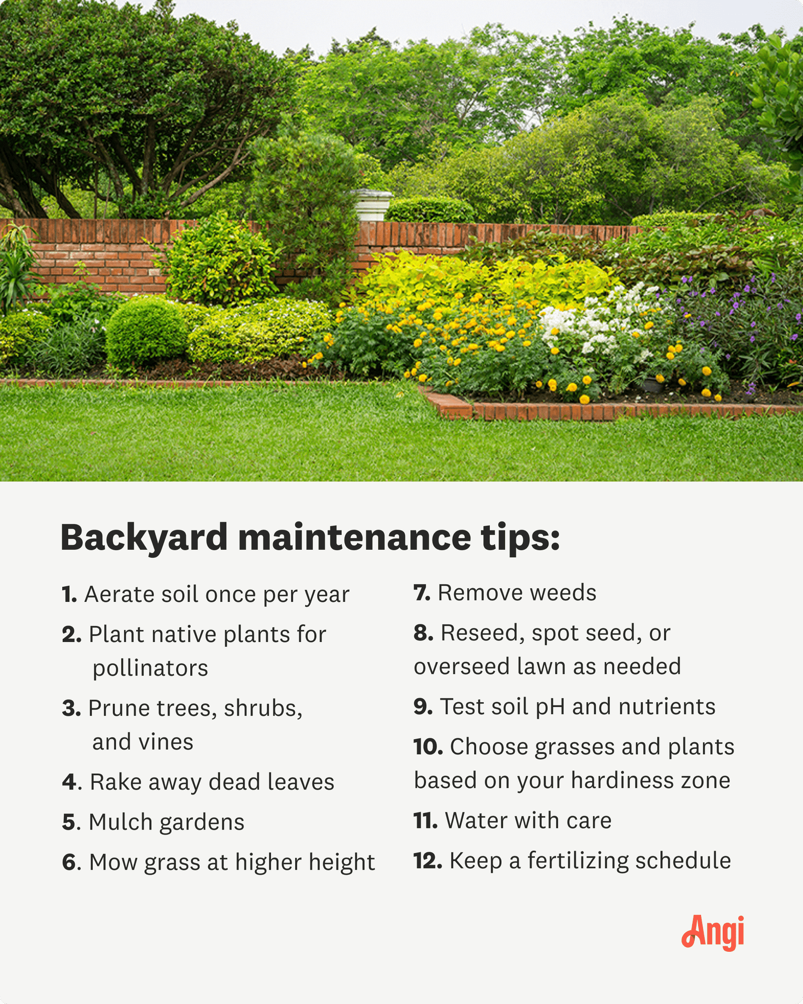 How To Take Care Of Your Lawn For Beginners