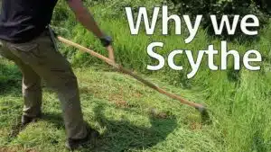 How To Use A Scythe To Cut Weeds And Grass