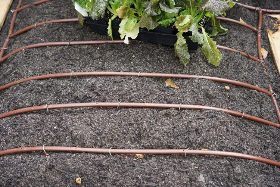 How To Water A Raised Garden Bed