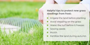 Protect New Grass Seed From Frost