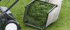 Should You Use A Grass Catcher When Mowing