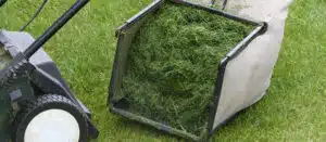 Should You Use A Grass Catcher When Mowing