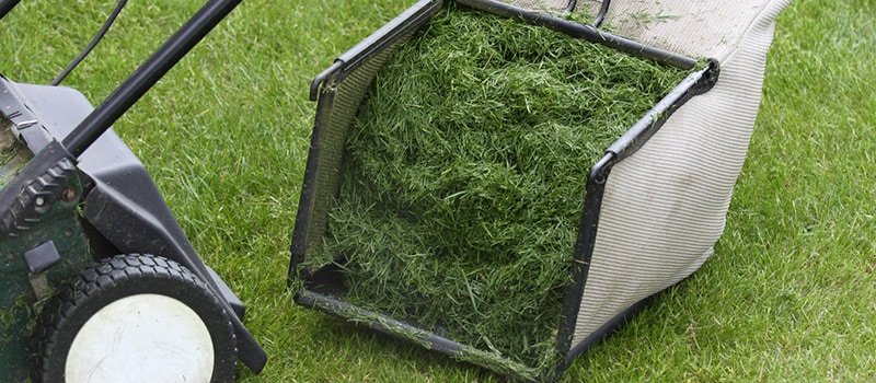 Should You Use A Grass Catcher When Mowing