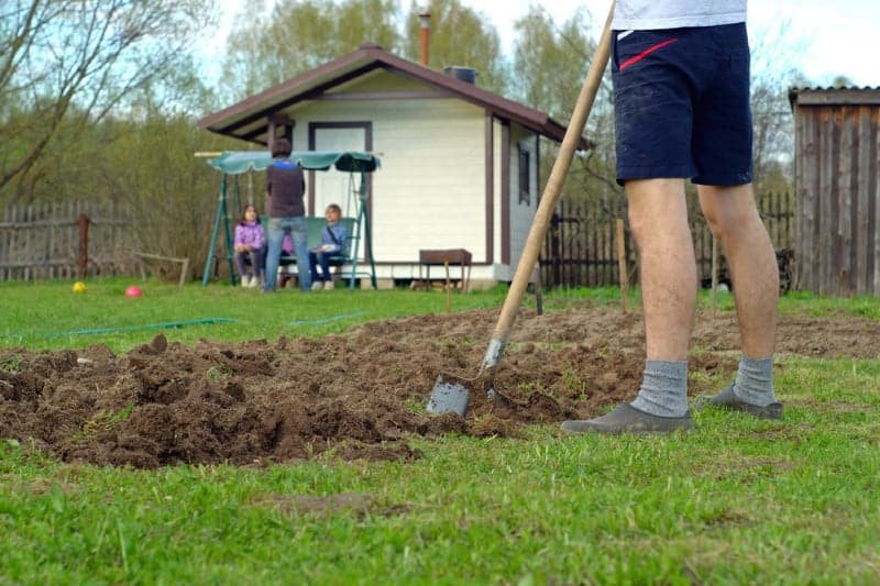 Turning Lawn Into A Flower Bed