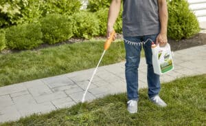 When And How To Apply Weed Killer On Lawn